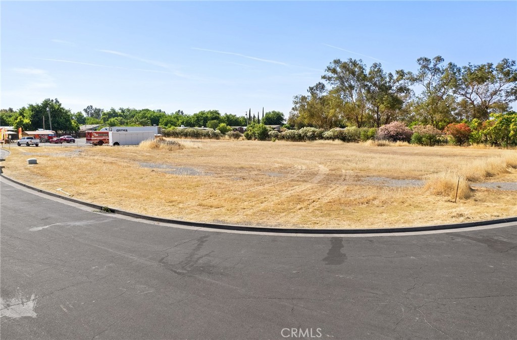 0 Hoff Way Orland, CA 95963 - Photo 12 of 13