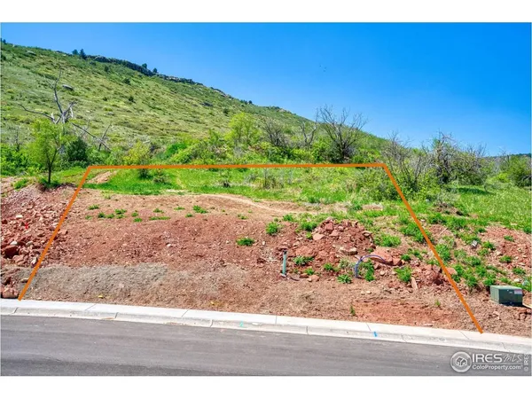 a view of a garden with an outdoor space
