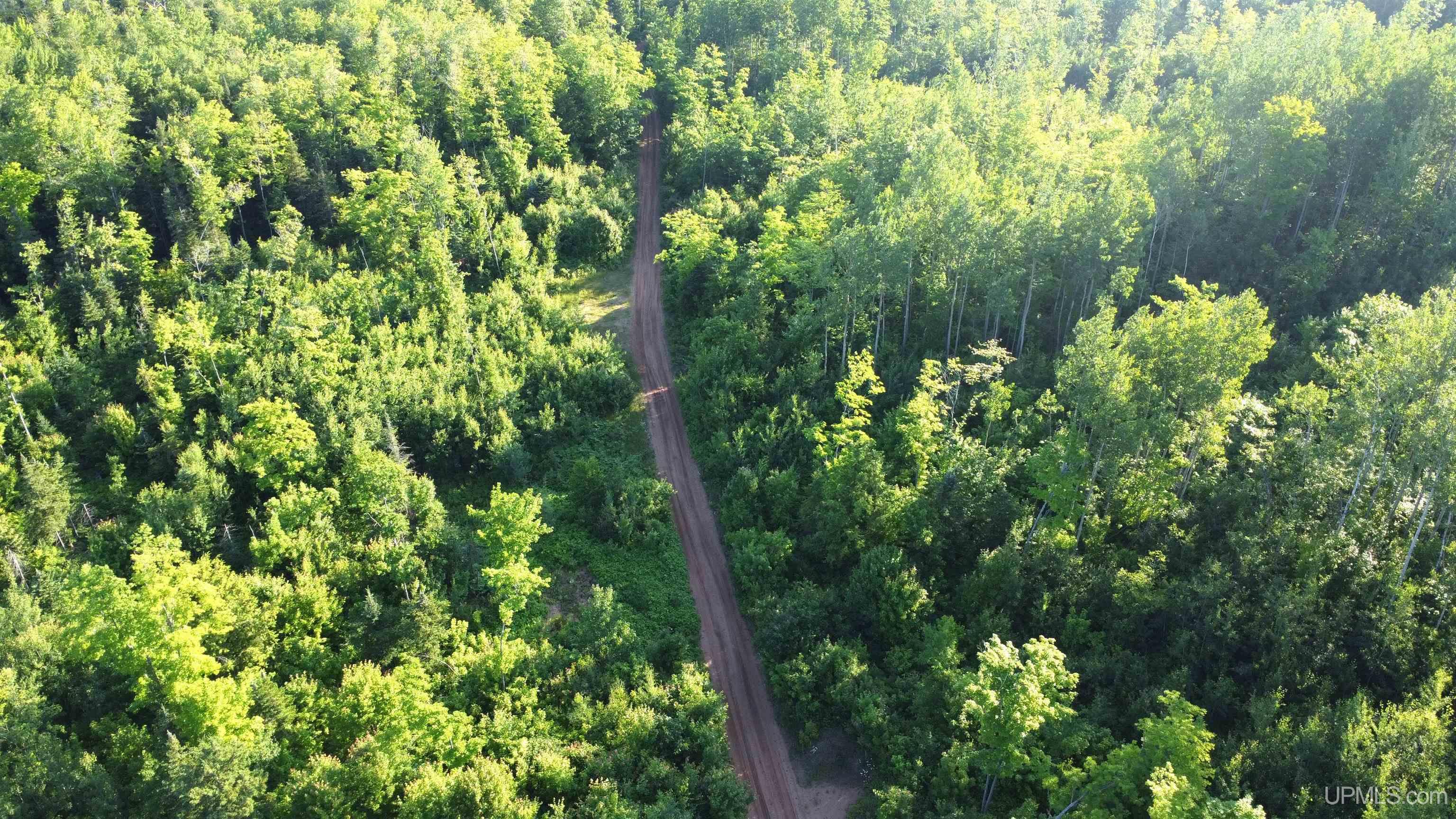 On Alder Cr Road Marquette, MI 49855 - Photo 16 of 20