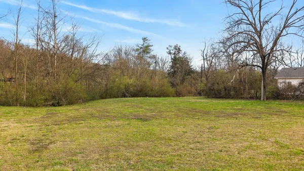 a view of a field with an trees