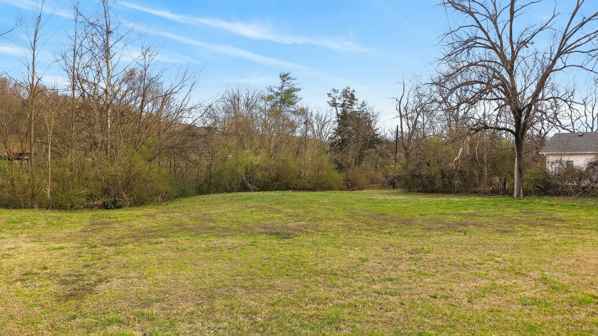 a view of a field with an trees