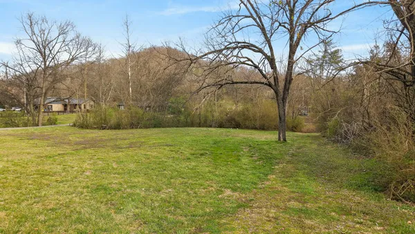 a backyard of a house with lots of green space
