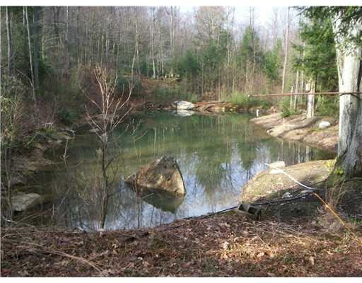Track 14 Pine Turn Road Markleton, PA 15557 - Photo 2 of 6 Exterior Back. fishing pond