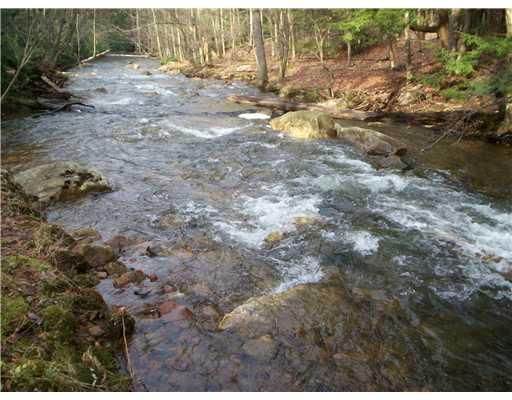 Track 14 Pine Turn Road Markleton, PA 15557 - Photo 3 of 6 View. Native trout stream