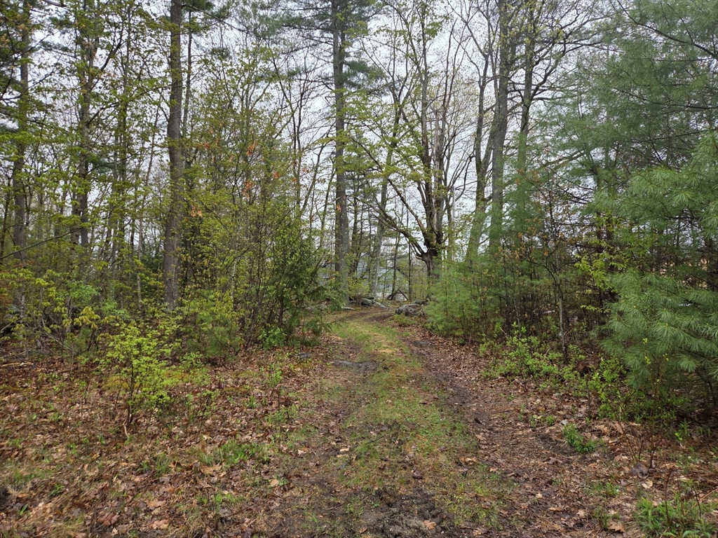Lot 3 Petersham Road Phillipston, MA 01331 - Photo 4 of 4