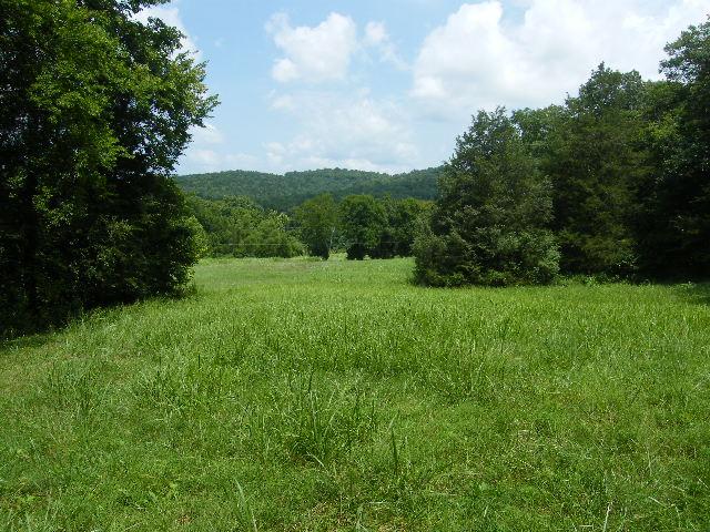 66 Hughey Road Fayetteville, TN 37334 - Photo 8 of 9 Gallery Image 8