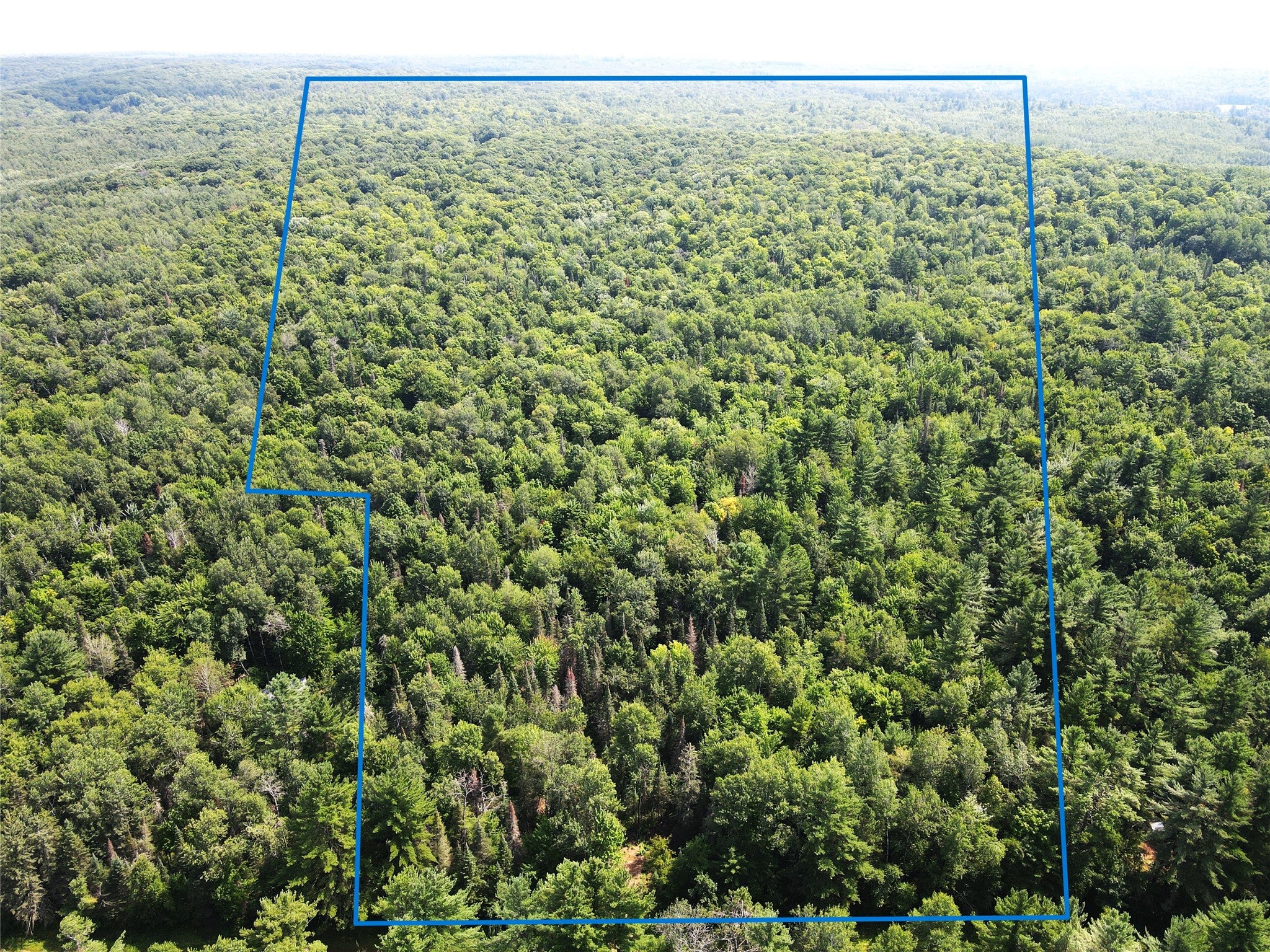 Lot 4 Smith Road Couderay, WI 54828 - Photo 1 of 27 Gallery Image 1