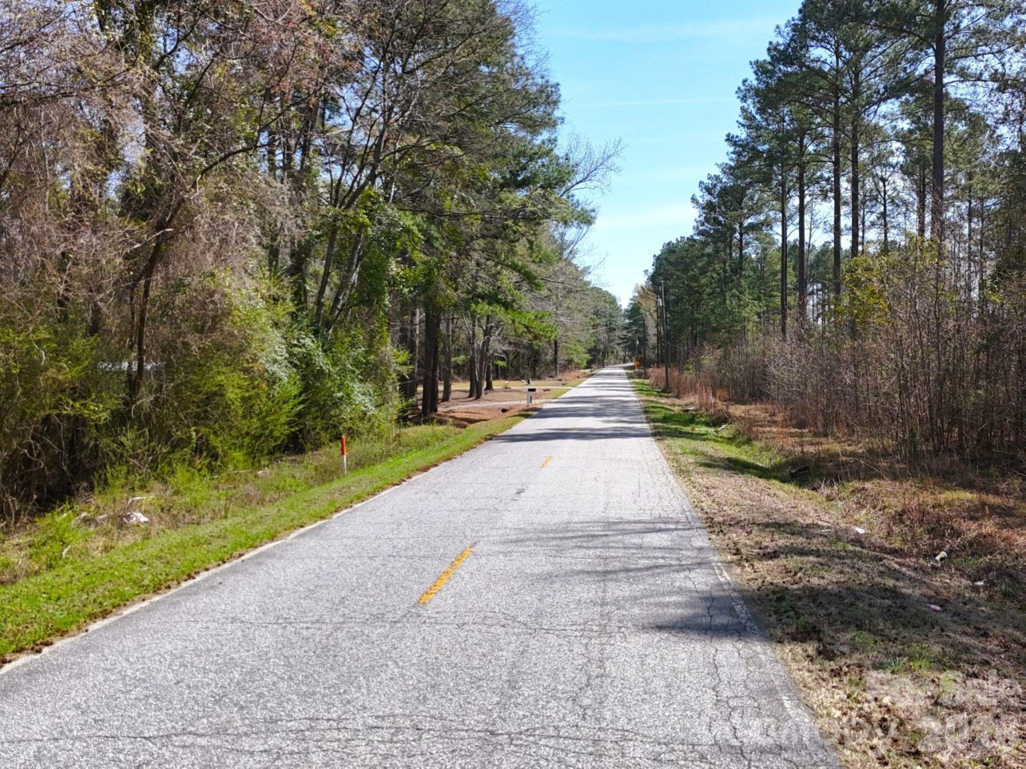 1-2 Snow Hill Road Cheraw, SC 29520 - Photo 13 of 21 a park view with large trees