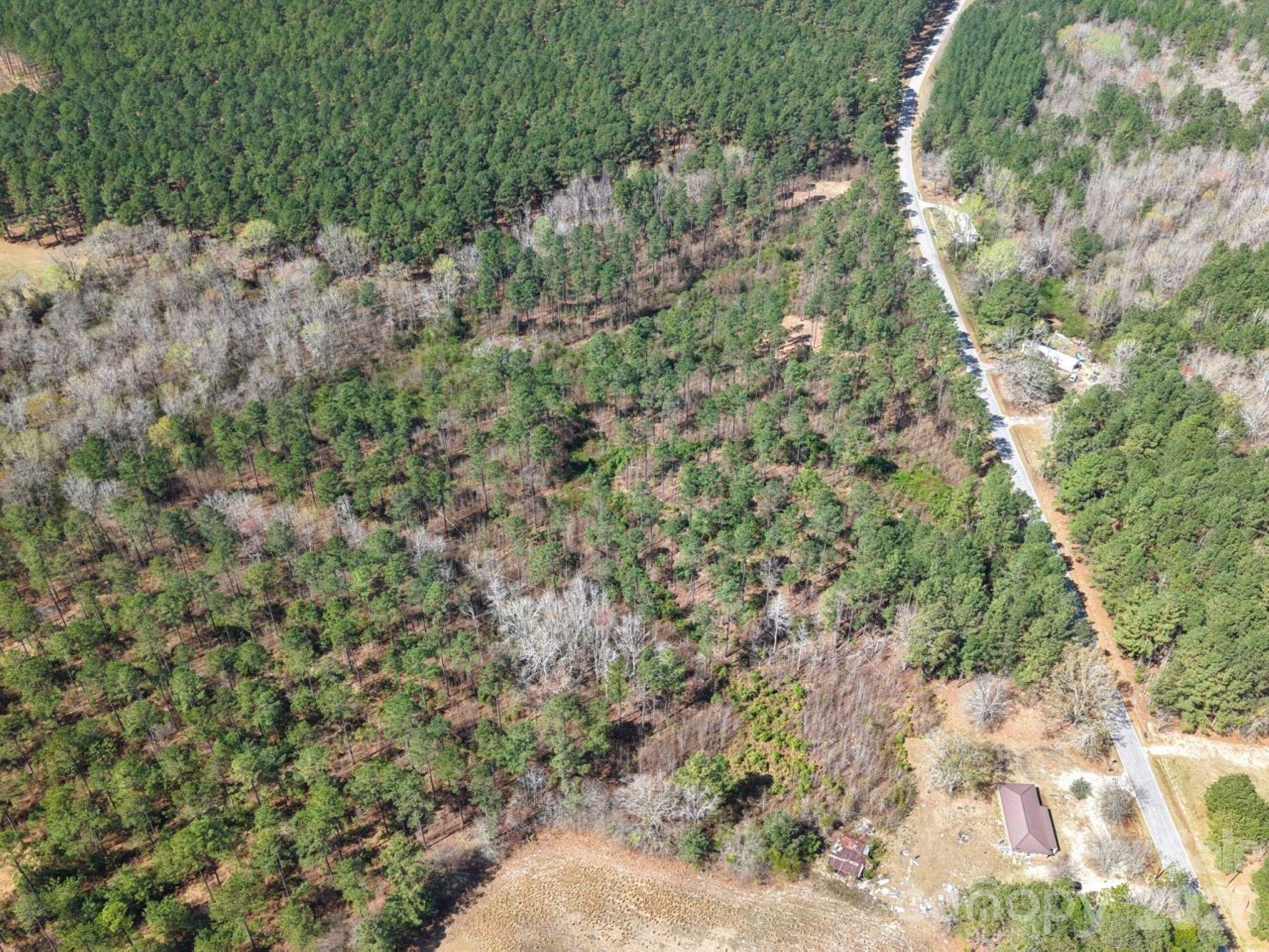 1-2 Snow Hill Road Cheraw, SC 29520 - Photo 14 of 21 a view of a yard with a tree