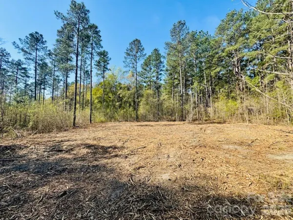 $87,900 | 1-2 Snow Hill Road, Cheraw, SC 29520