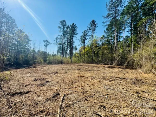 $87,900 | 1-2 Snow Hill Road, Cheraw, SC 29520