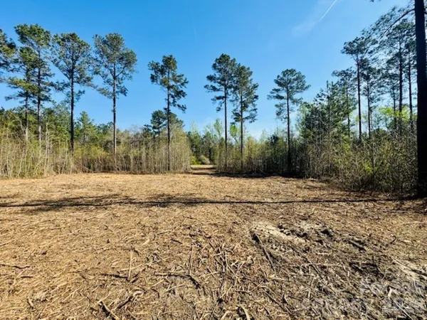 $87,900 | 1-2 Snow Hill Road, Cheraw, SC 29520