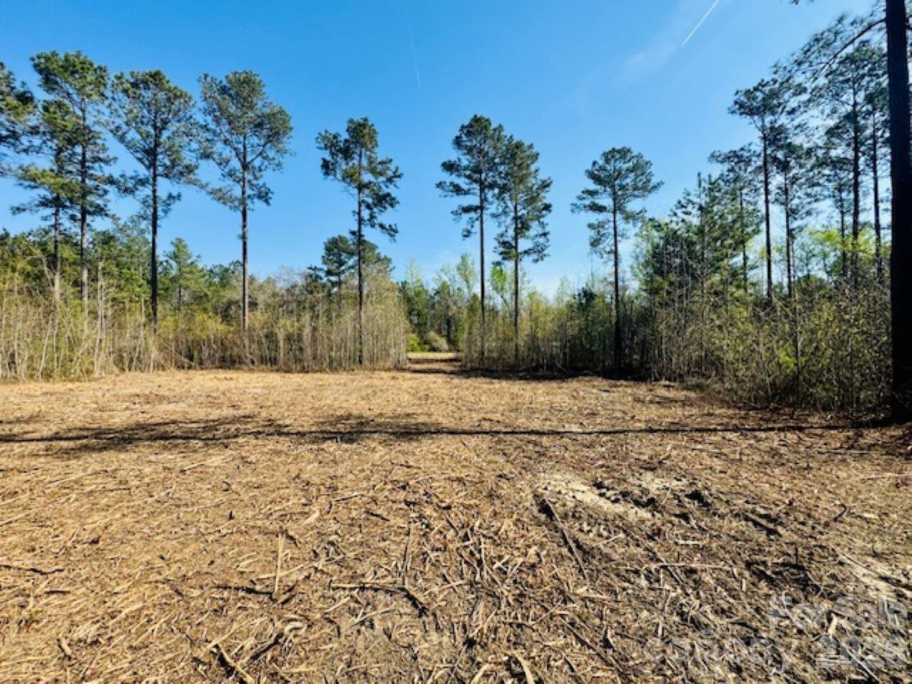 1-2 Snow Hill Road Cheraw, SC 29520 - Photo 18 of 21
