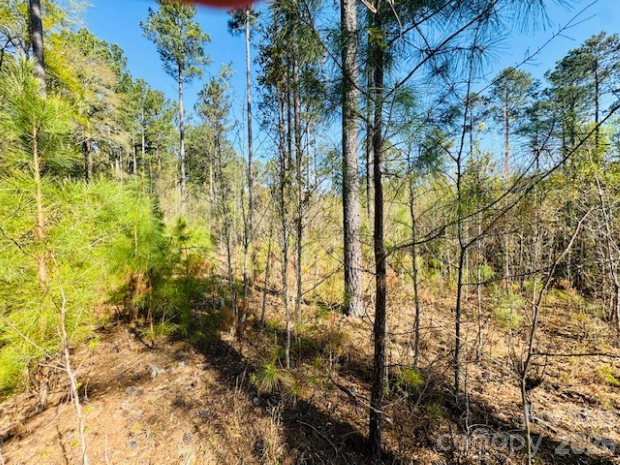 1-2 Snow Hill Road Cheraw, SC 29520 - Photo 19 of 21