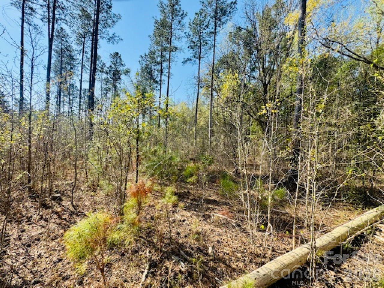 1-2 Snow Hill Road Cheraw, SC 29520 - Photo 20 of 21