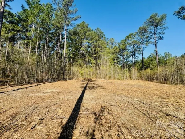 $87,900 | 1-2 Snow Hill Road, Cheraw, SC 29520