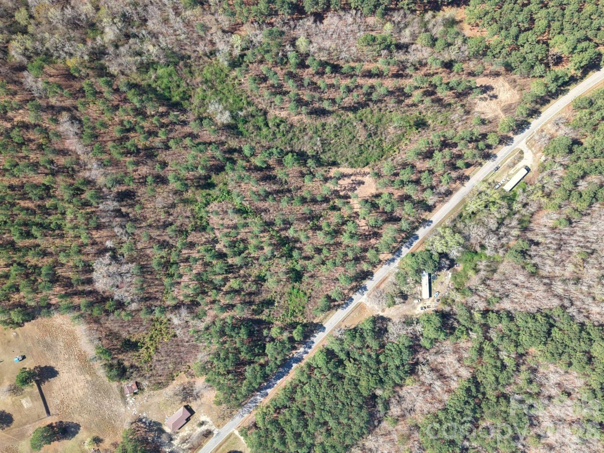 1-2 Snow Hill Road Cheraw, SC 29520 - Photo 3 of 21 a close up of a plant with a yard