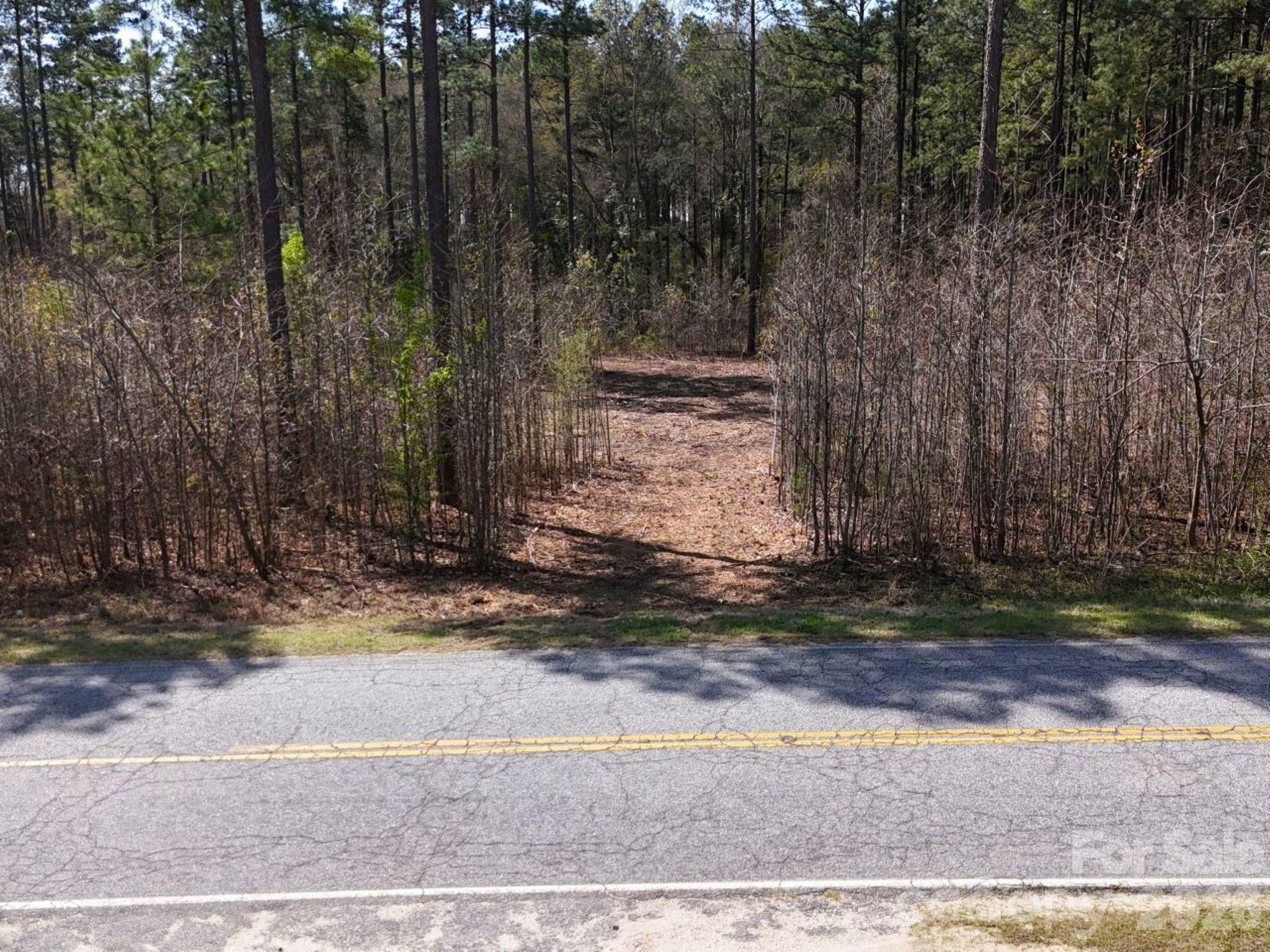 1-2 Snow Hill Road Cheraw, SC 29520 - Photo 5 of 21 a view of a house with a yard