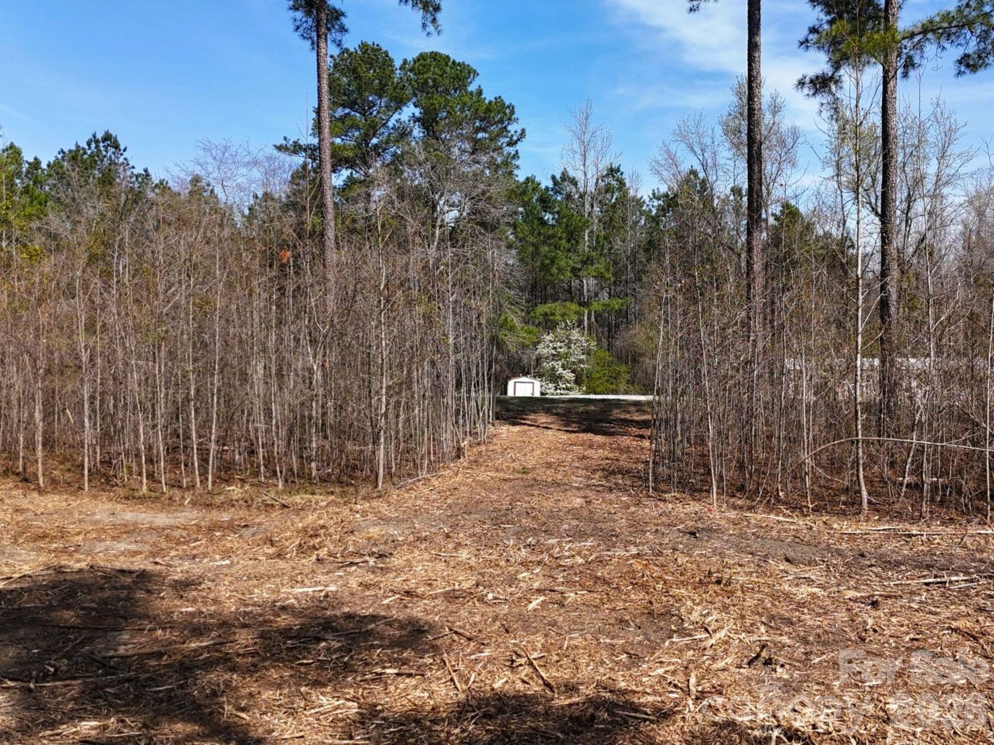 1-2 Snow Hill Road Cheraw, SC 29520 - Photo 6 of 21 a backyard of a house with lots of green space