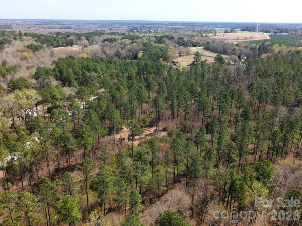 an aerial view of forest