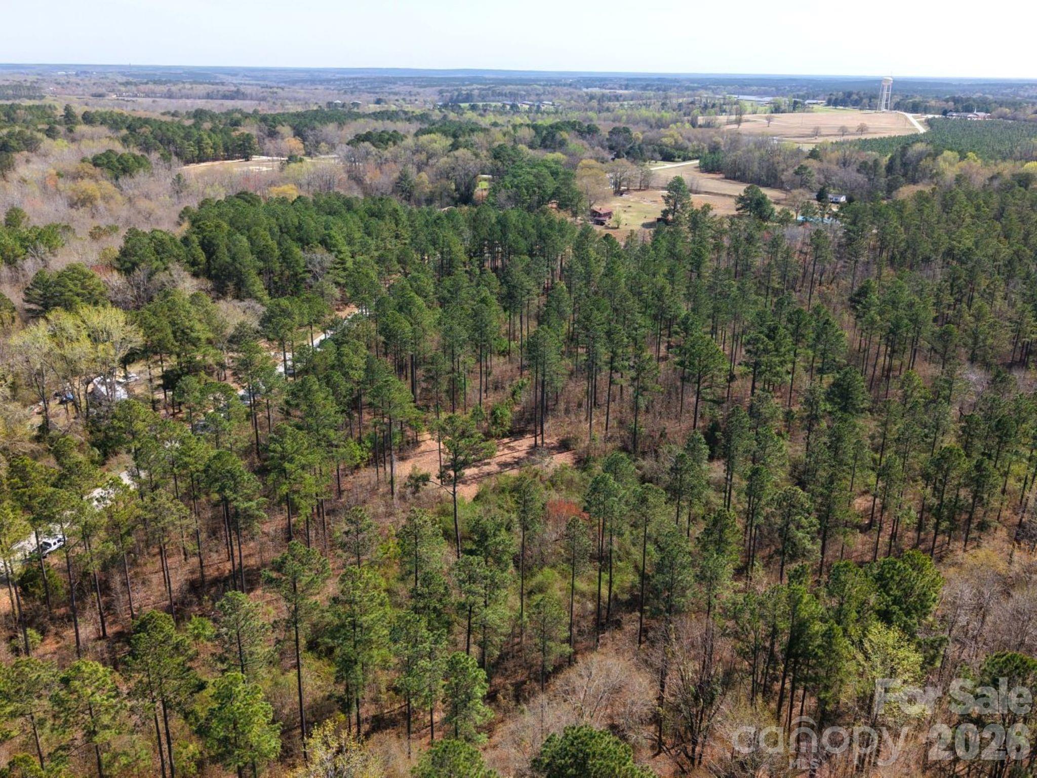 1-2 Snow Hill Road Cheraw, SC 29520 - Photo 10 of 21 an aerial view of forest