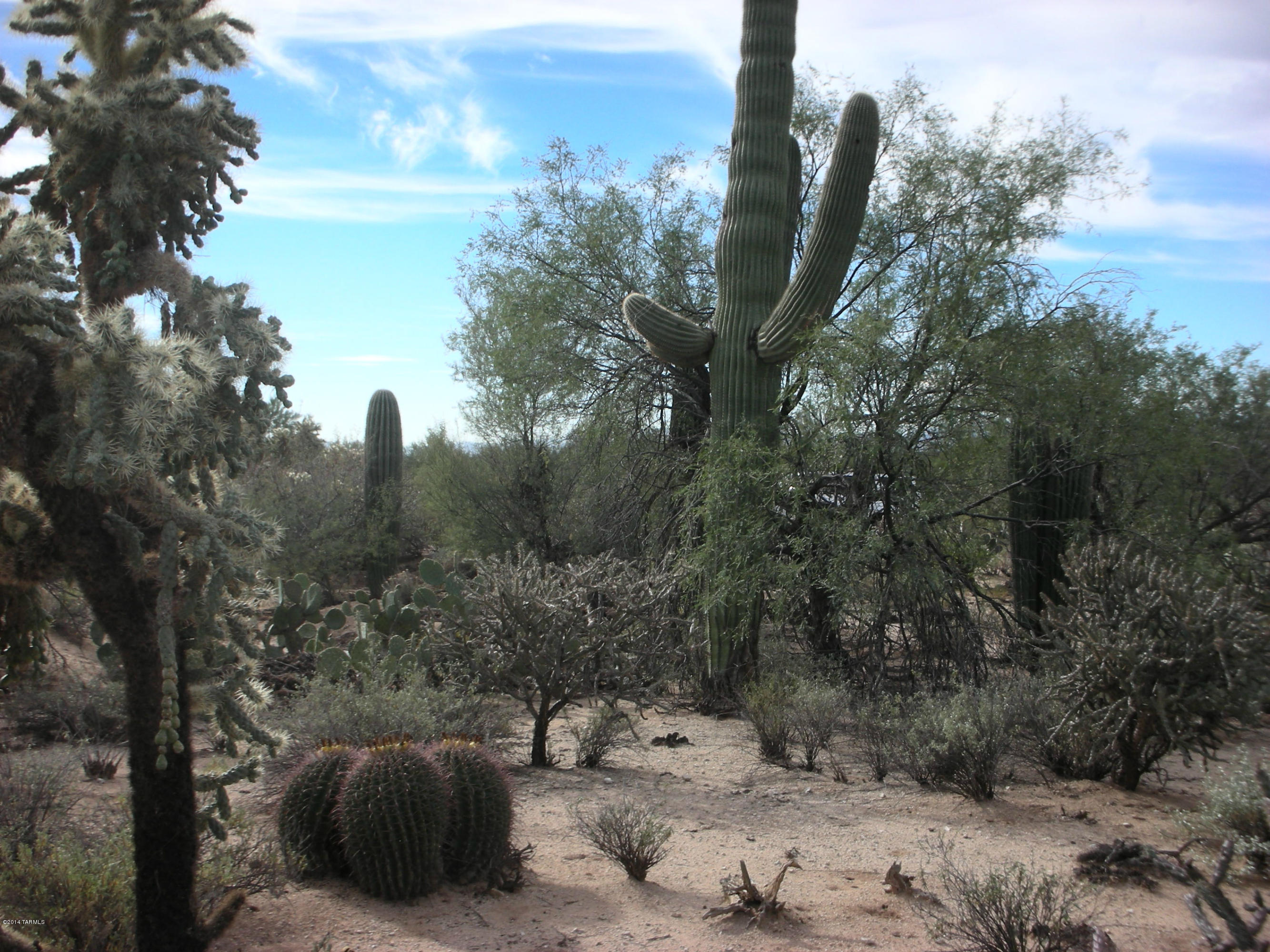 2440 West Glover Road Oro Valley, AZ 85742 - Photo 11 of 12