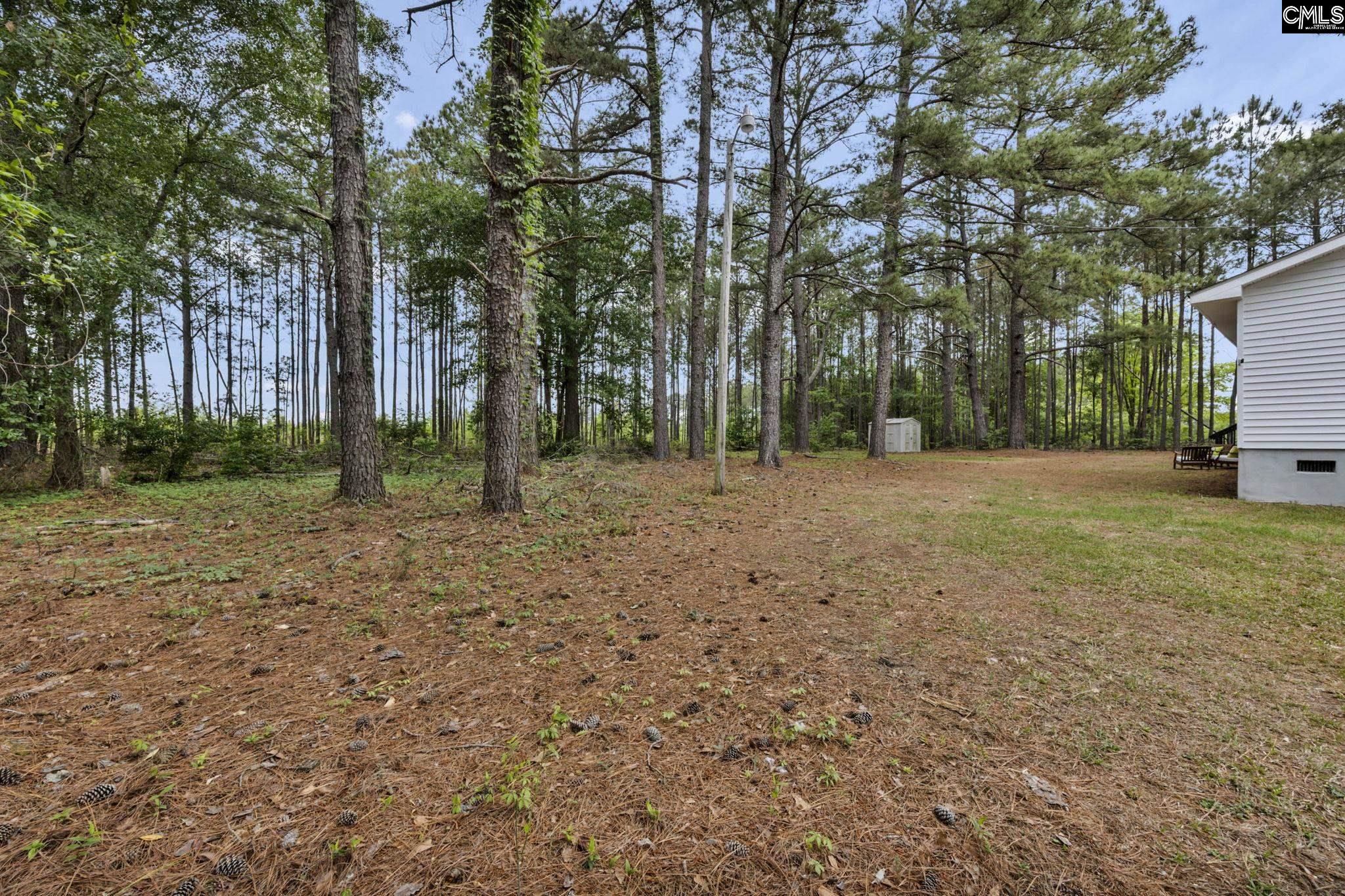 8107 Black River Road Rembert, SC 29128 - Photo 34 of 38 a view of a yard with tree s