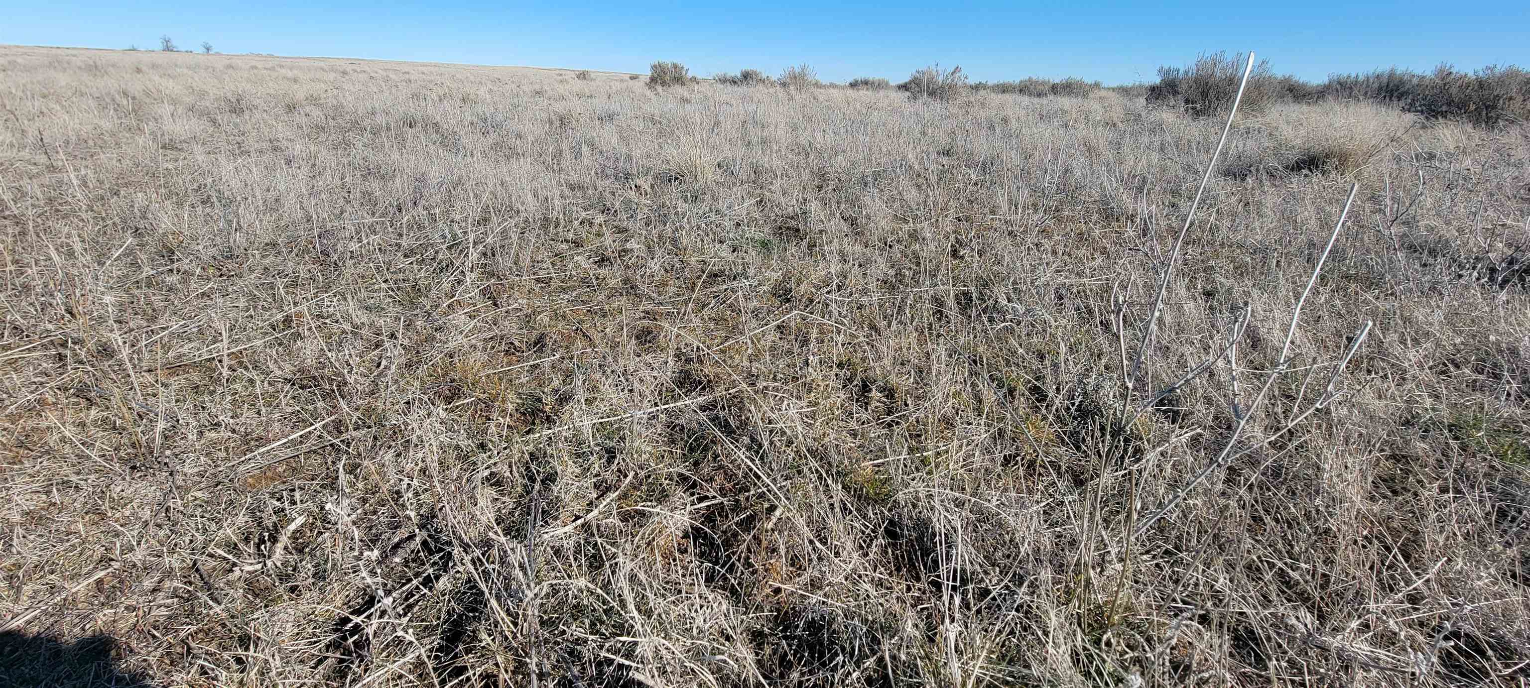1 Schafer Road Ritzville, WA 99169 - Photo 25 of 42