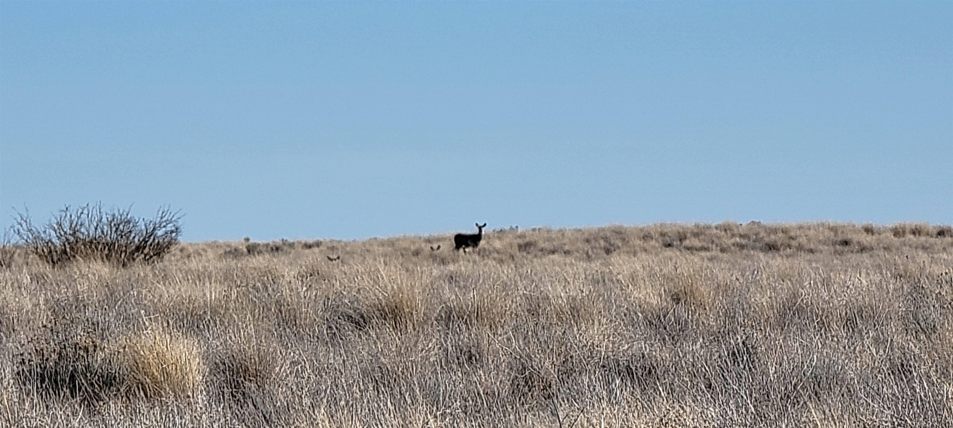 1 Schafer Road Ritzville, WA 99169 - Photo 28 of 42