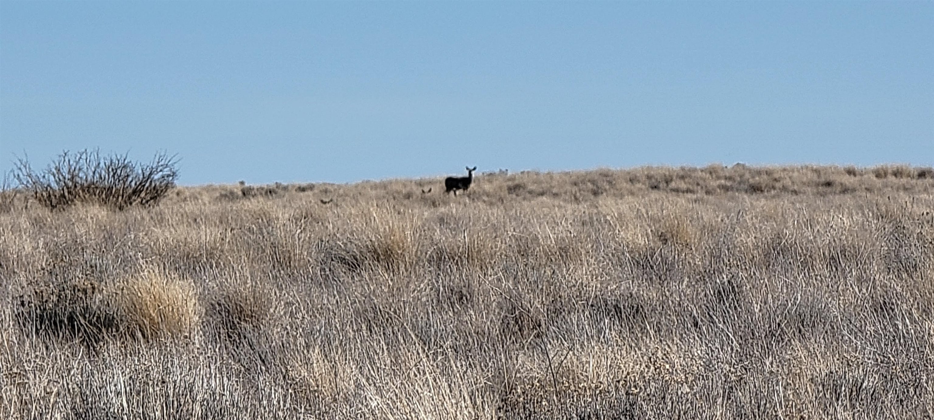 1 Schafer Road Ritzville, WA 99169 - Photo 29 of 42