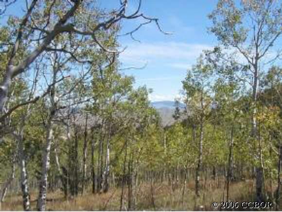501 Blacksmith Road Hartsel, CO 80449 - Photo 1 of 1 a view of a yard in a forest
