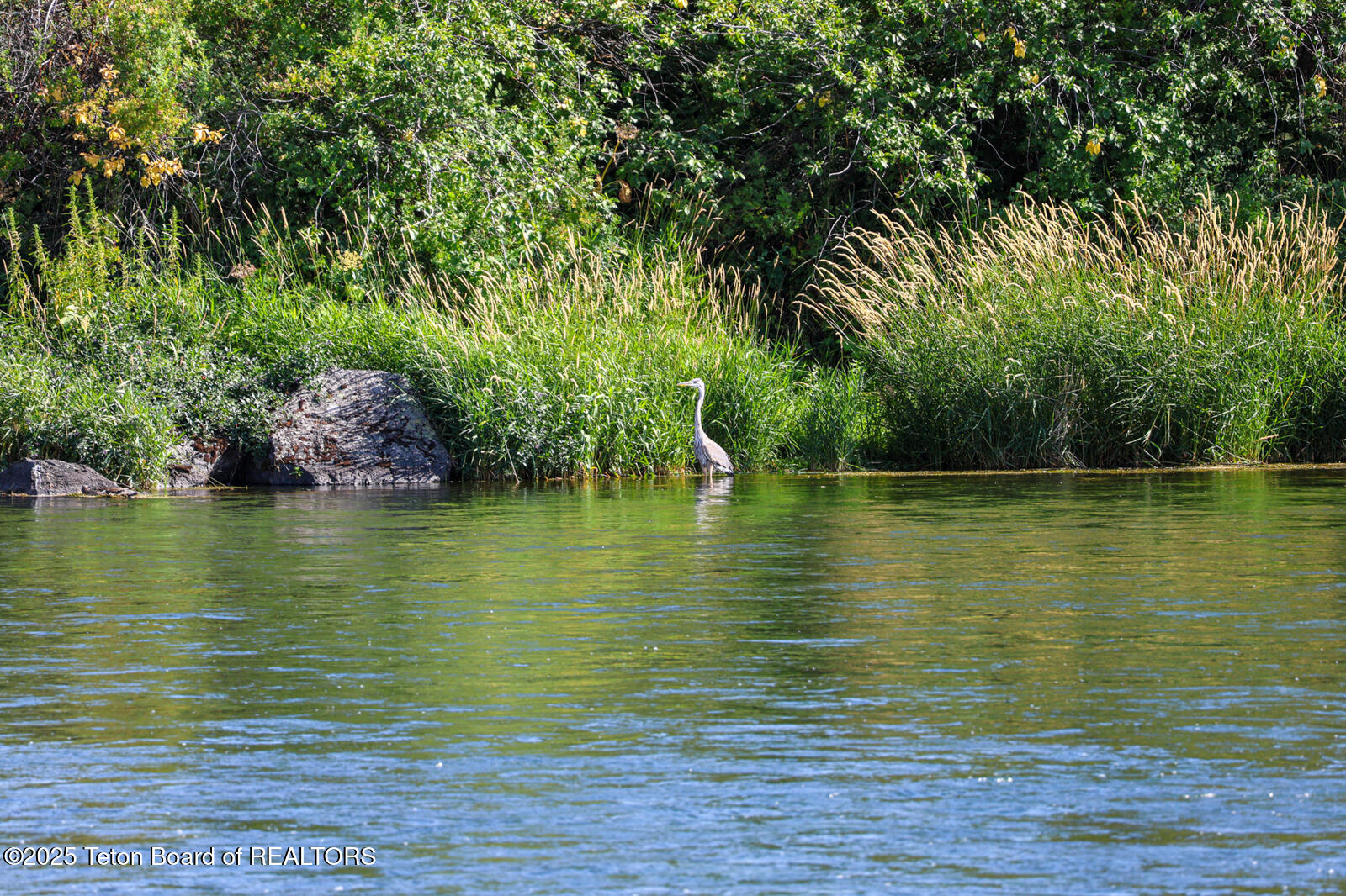 1200 East 1200 North Chester, ID 83421 - Photo 11 of 21 River-Pointe-Ranch-Ashton-Idaho-Henry's-
