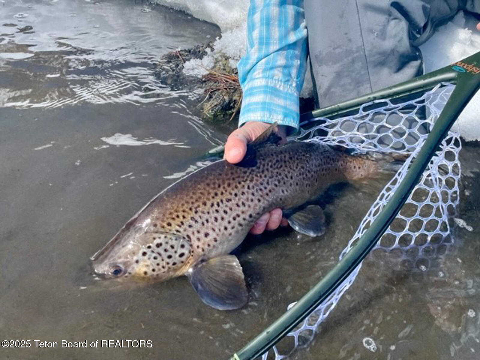 1200 East 1200 North Chester, ID 83421 - Photo 16 of 21 River-Pointe-Ranch-Ashton-Idaho-Fly-Fish