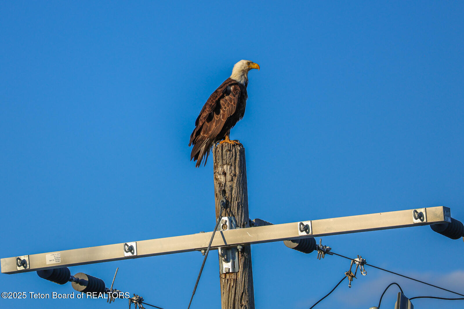 1200 East 1200 North Chester, ID 83421 - Photo 18 of 21 River-Pointe-Ranch-Ashton-Idaho-Henry's-