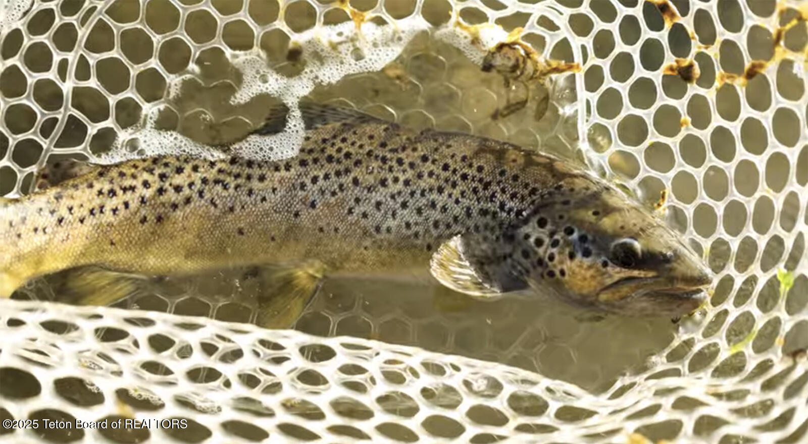 1200 East 1200 North Chester, ID 83421 - Photo 21 of 21 NovemberFishing4