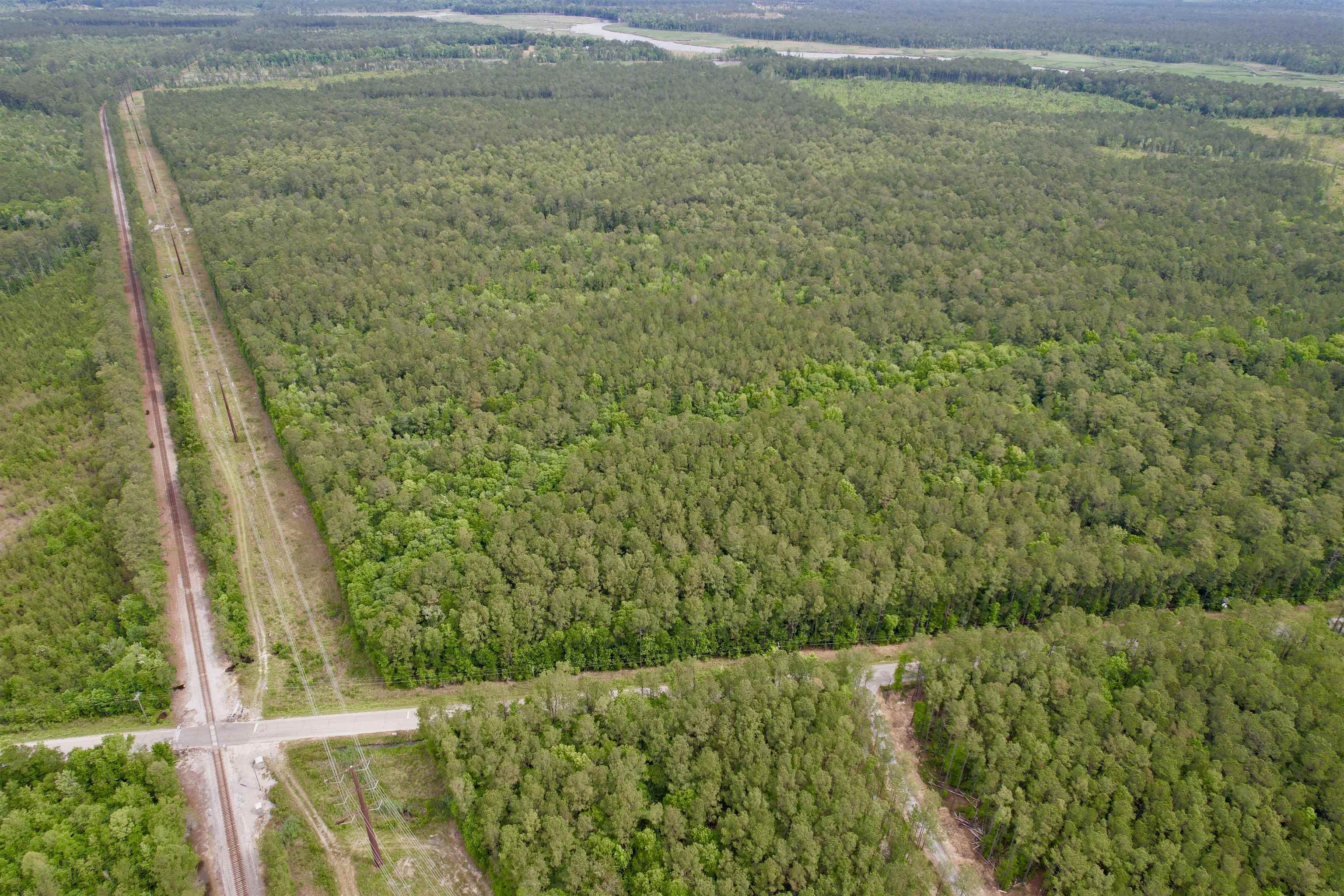 Tract A - Tbd Tract A - Tbd Pennyroyal Road Georgetown, SC 29440 - Photo 1 of 14
