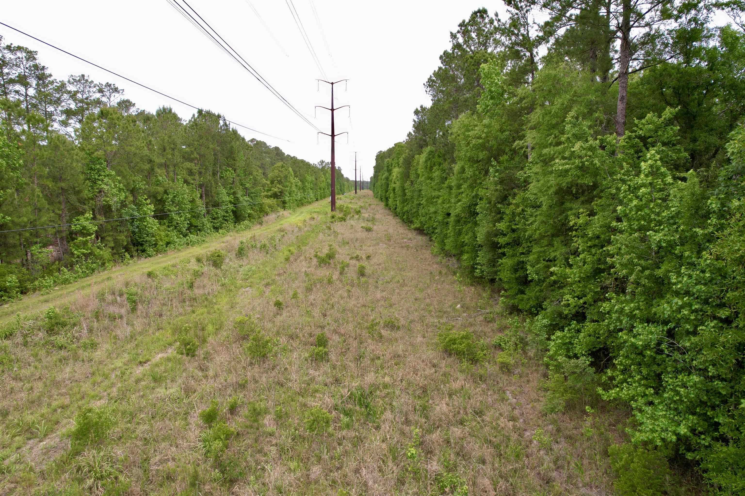 Tract A - Tbd Tract A - Tbd Pennyroyal Road Georgetown, SC 29440 - Photo 11 of 14