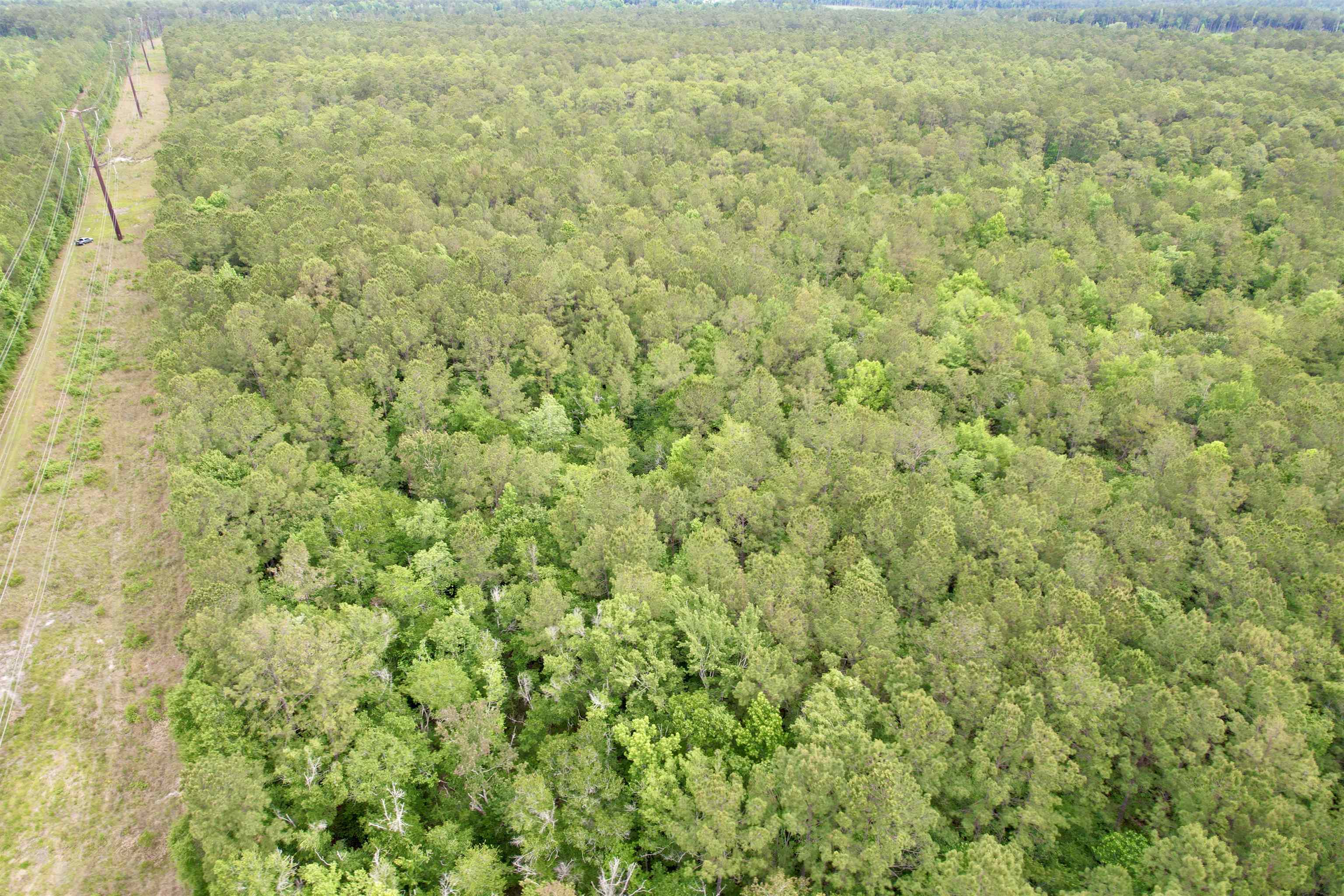 Tract A - Tbd Tract A - Tbd Pennyroyal Road Georgetown, SC 29440 - Photo 12 of 14