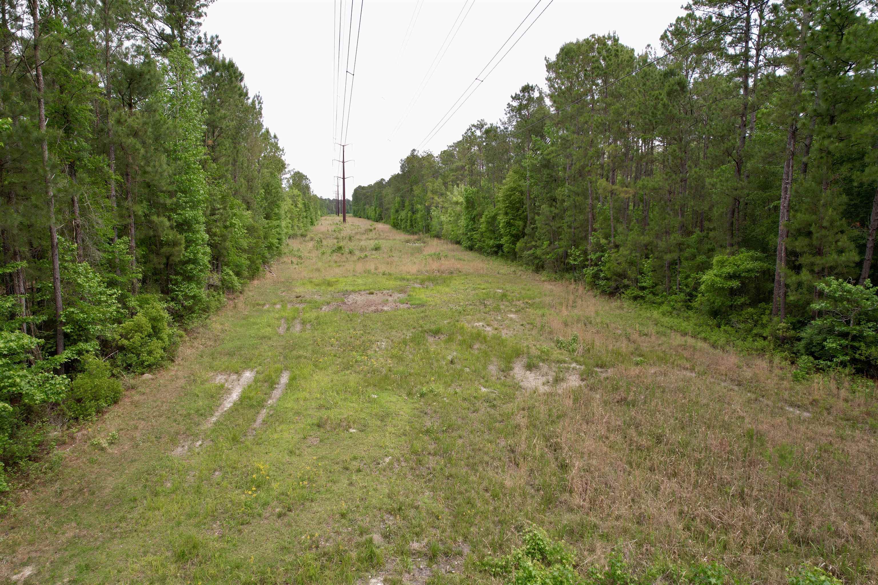 Tract A - Tbd Tract A - Tbd Pennyroyal Road Georgetown, SC 29440 - Photo 14 of 14