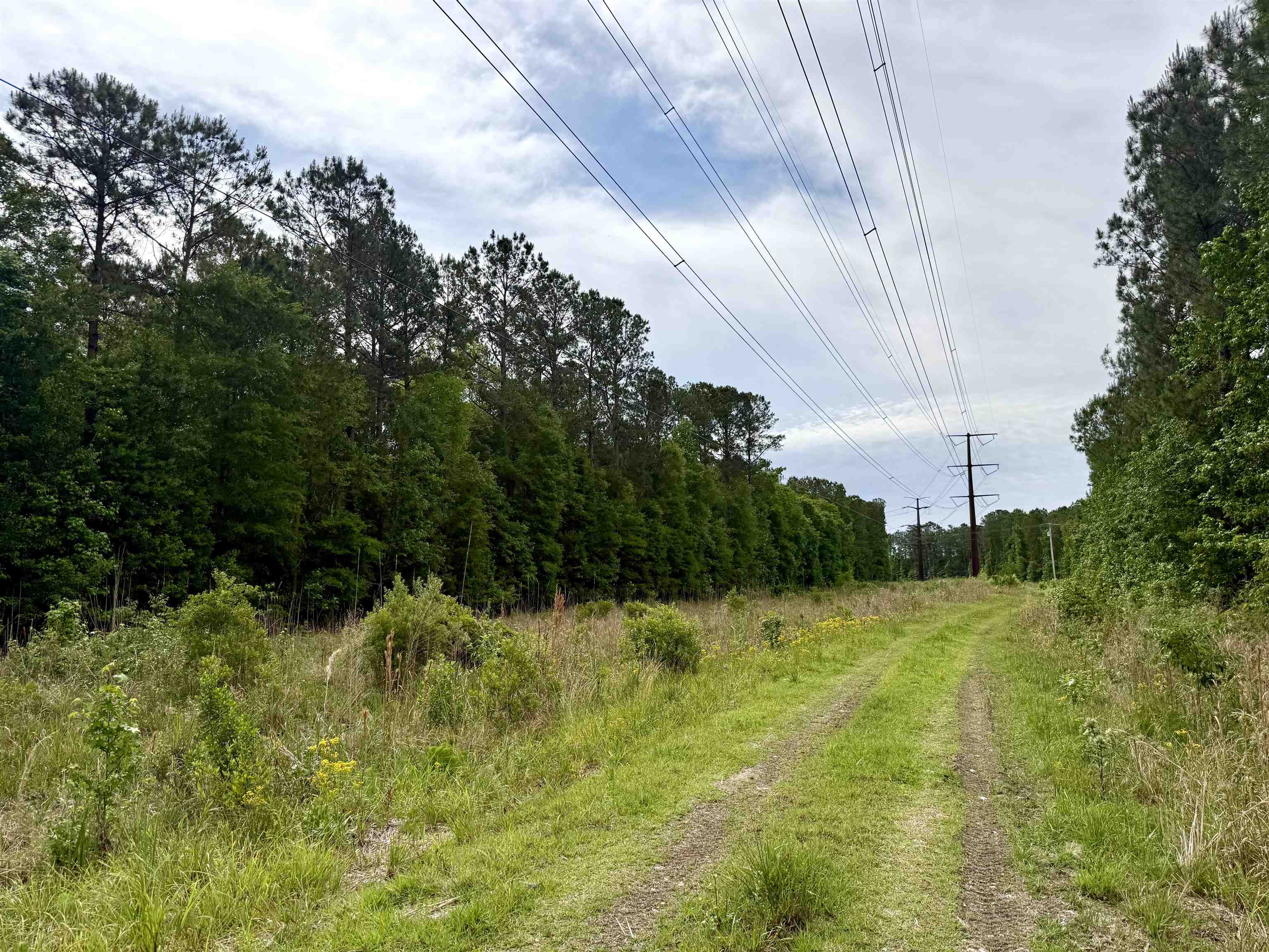 Tract A - Tbd Tract A - Tbd Pennyroyal Road Georgetown, SC 29440 - Photo 2 of 14