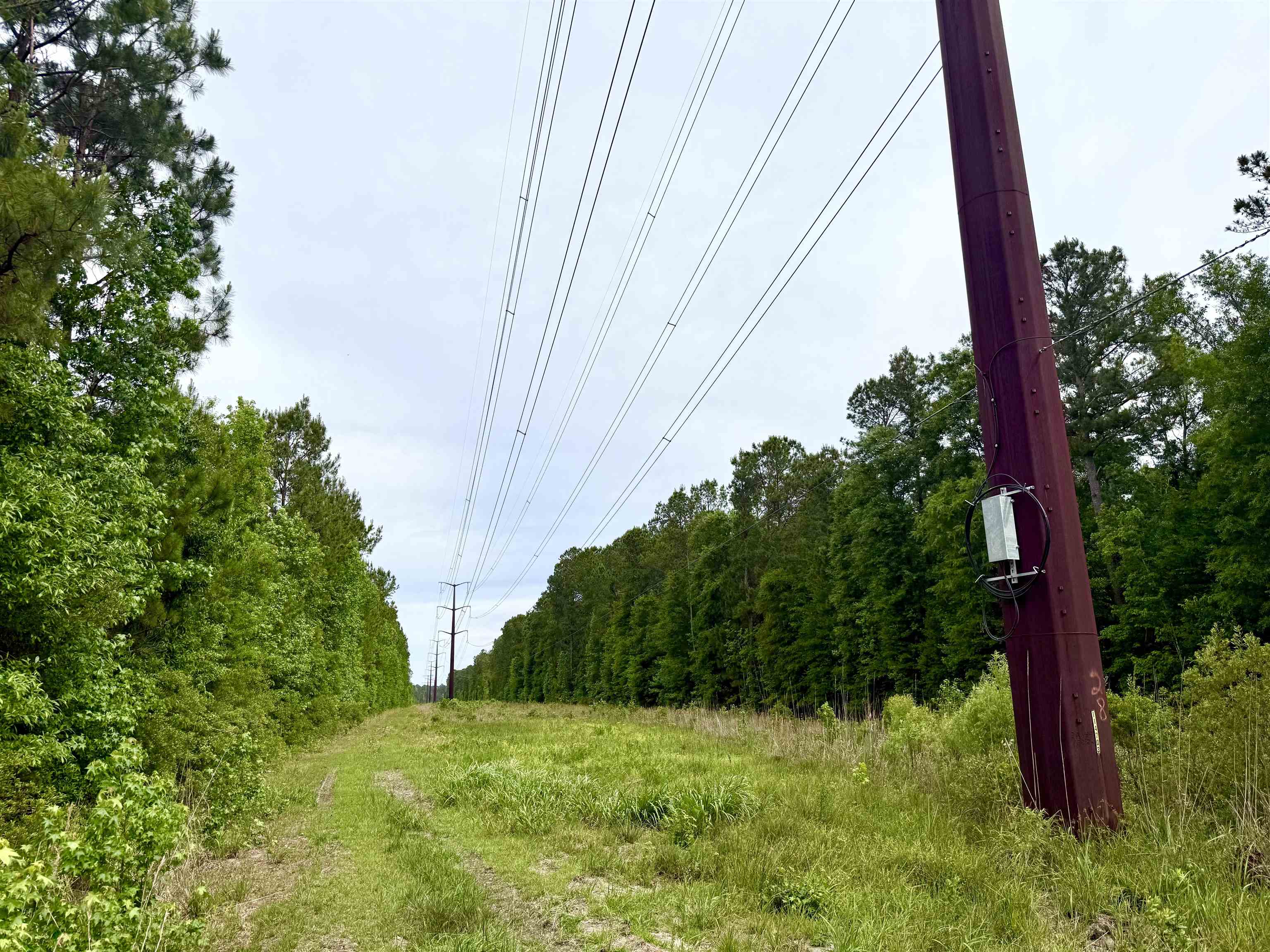 Tract A - Tbd Tract A - Tbd Pennyroyal Road Georgetown, SC 29440 - Photo 3 of 14