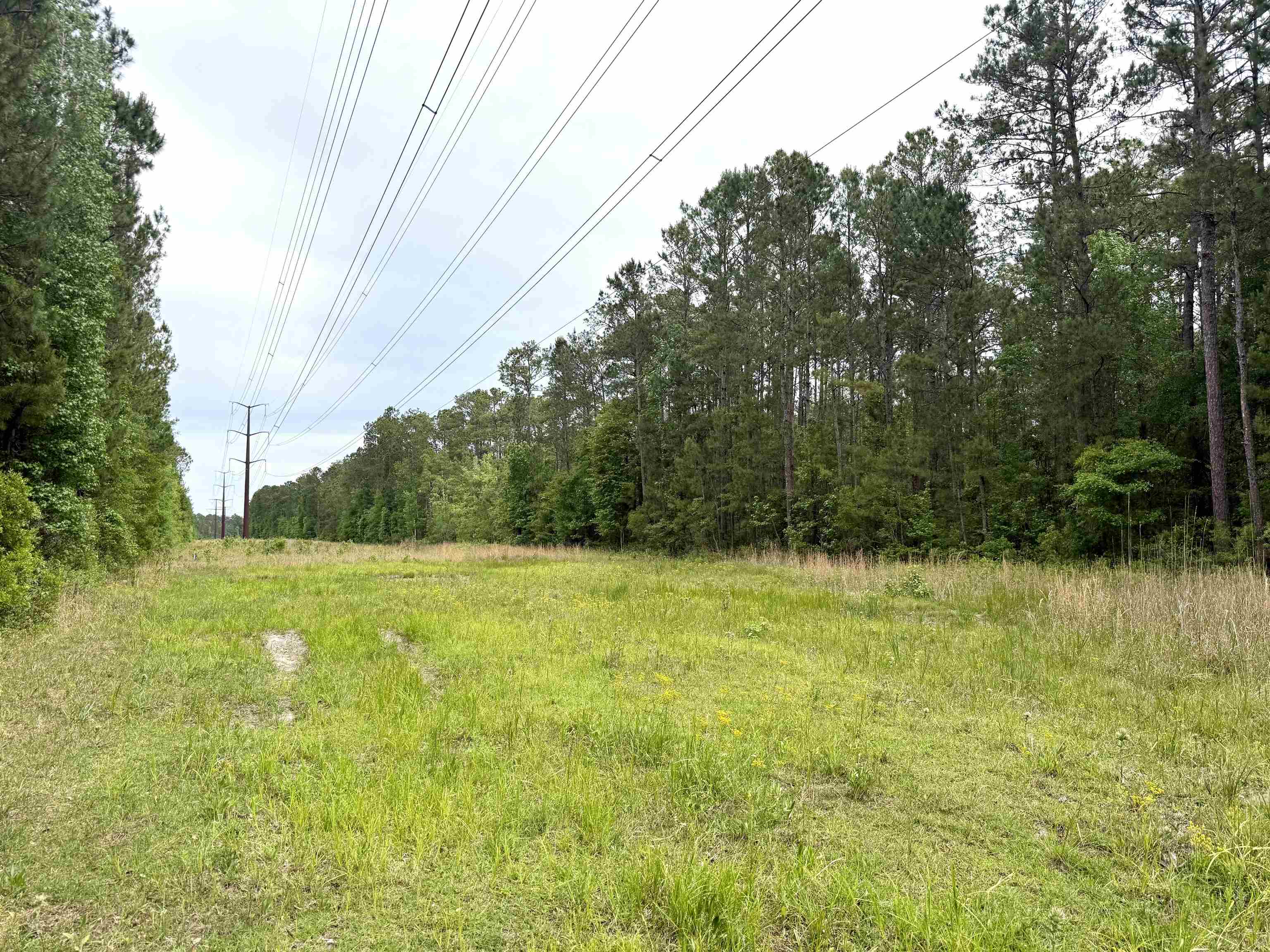 Tract A - Tbd Tract A - Tbd Pennyroyal Road Georgetown, SC 29440 - Photo 4 of 14