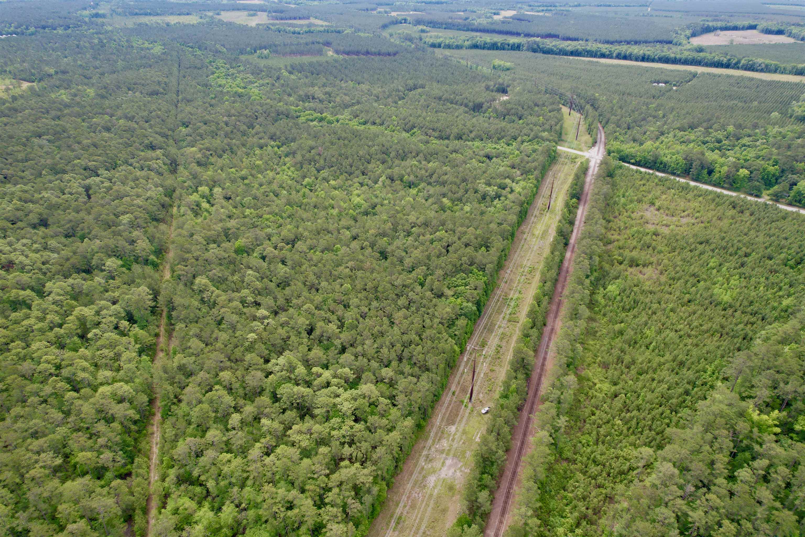 Tract A - Tbd Tract A - Tbd Pennyroyal Road Georgetown, SC 29440 - Photo 6 of 14