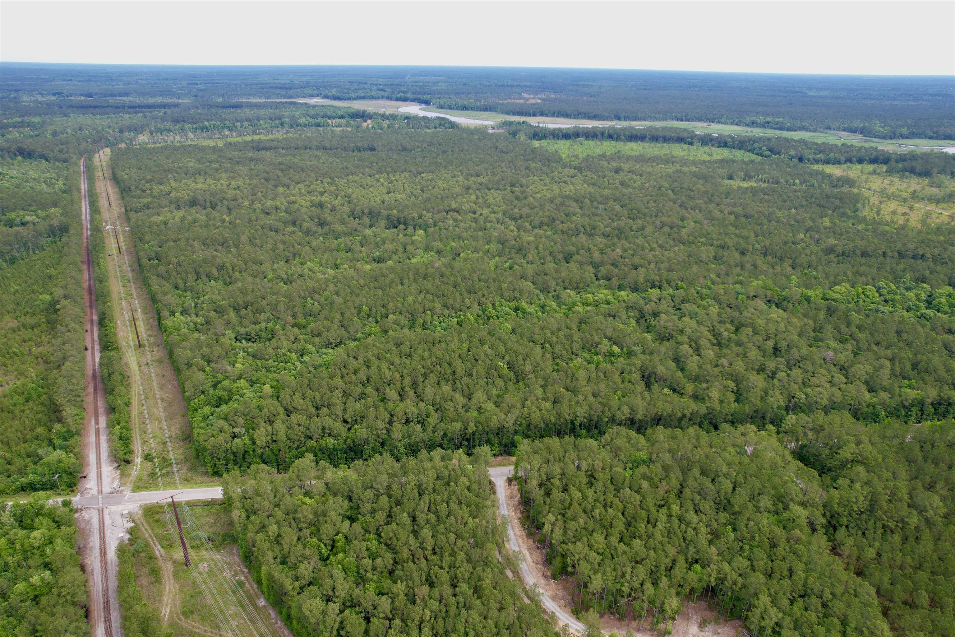 Tract A - Tbd Tract A - Tbd Pennyroyal Road Georgetown, SC 29440 - Photo 7 of 14