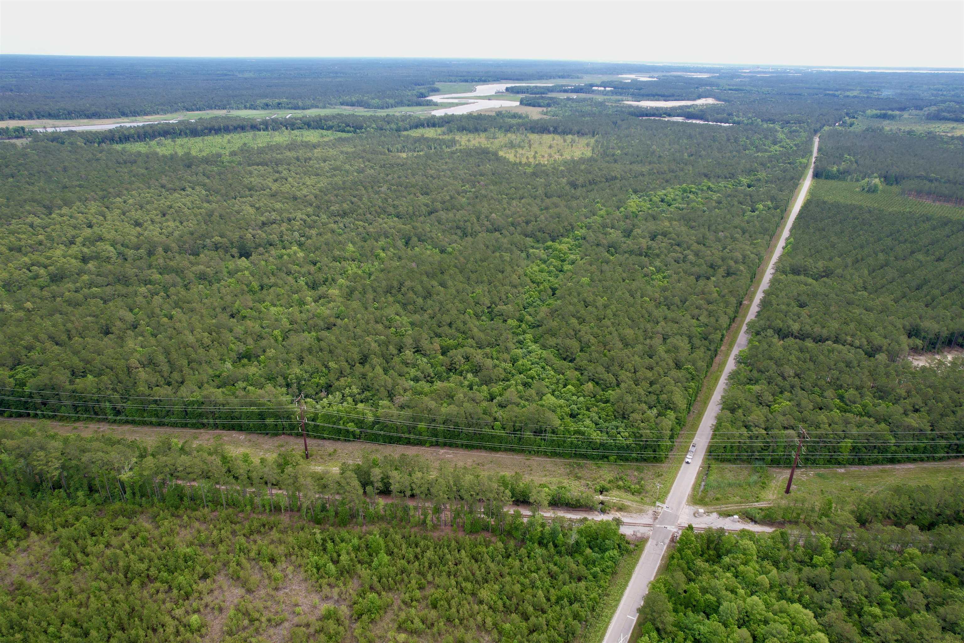Tract A - Tbd Tract A - Tbd Pennyroyal Road Georgetown, SC 29440 - Photo 8 of 14