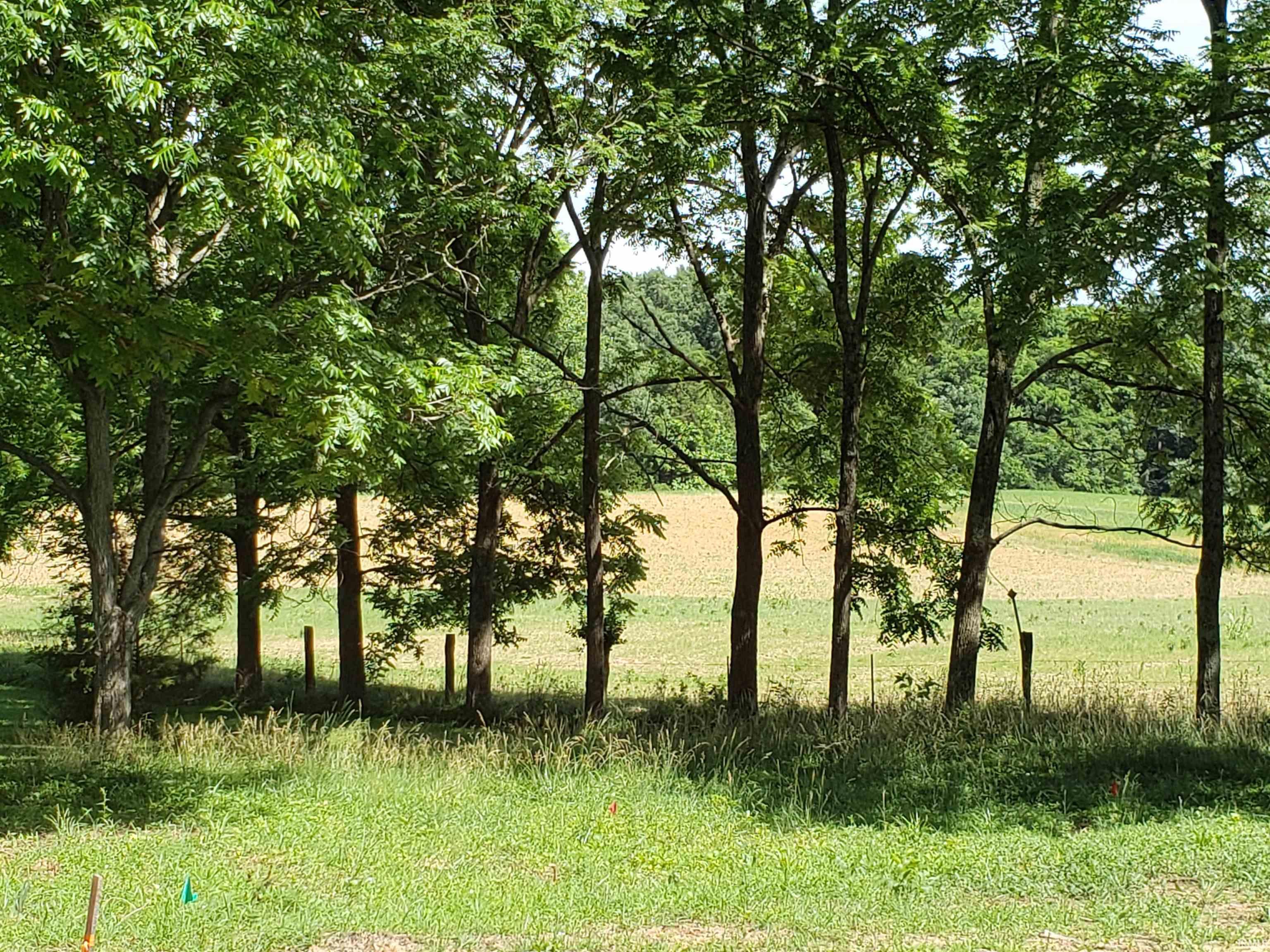 1446 Gunsmith School Road Bedford, IN 47421 - Photo 2 of 6