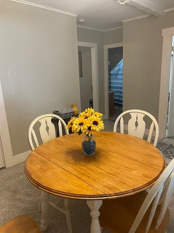 a bathroom with a sink a bathtub and potted plant