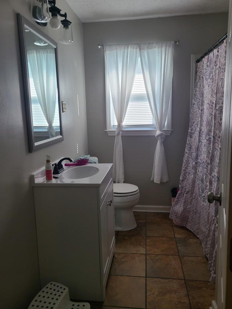 15540 Bishop Road Chilhowie, VA 24319 - Photo 11 of 25 Gallery Image 11