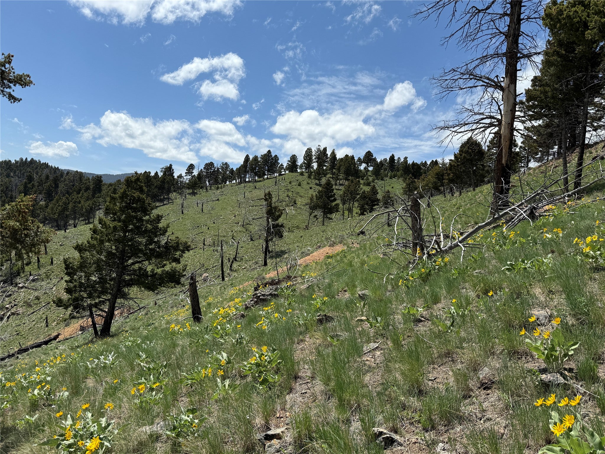 Tbd (40.1-ac) Tbd (40.1-ac) High Ore Road Boulder, MT 59632 - Photo 57 of 62 Gallery Image 57