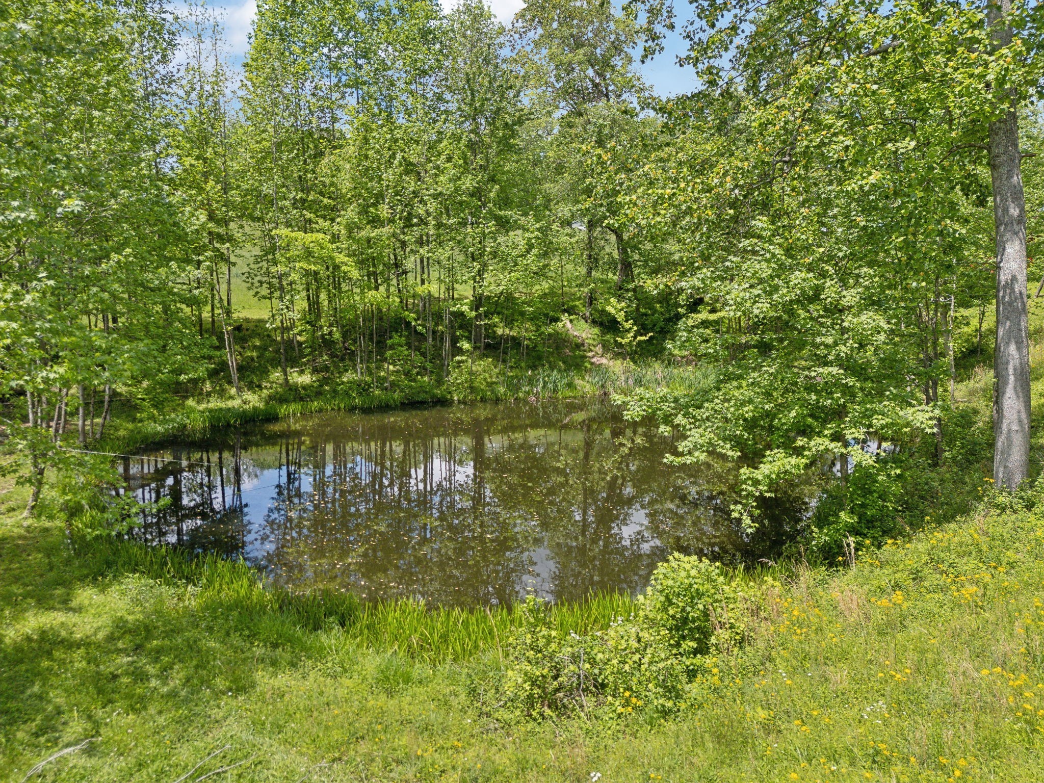 820 Jimtown Road Lafayette, TN 37083 - Photo 59 of 66